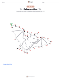 Echolocation printable worksheet preview