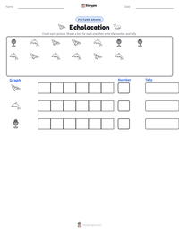 Echolocation printable worksheet preview