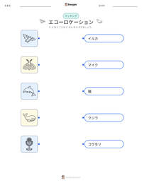 エコーロケーション の印刷可能ワークシートプレビュー