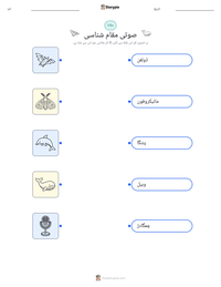صوتی مقام شناسی پرنٹ کرنے کے قابل ورکشیٹ کا پیش نظارہ