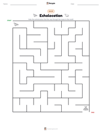 Echolocation printable worksheet preview