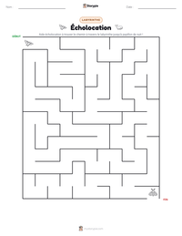 Aperçu de la feuille de travail imprimable Écholocation