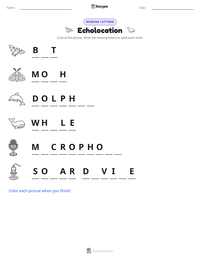 Echolocation printable worksheet preview