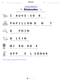 Aperçu de la feuille de travail imprimable Écholocation