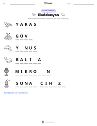 Ekolokasyon yazdırılabilir çalışma sayfası önizlemesi