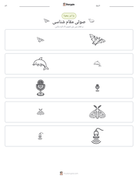 صوتی مقام شناسی پرنٹ کرنے کے قابل ورکشیٹ کا پیش نظارہ