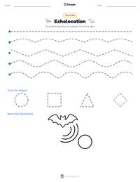 Echolocation printable worksheet preview