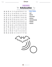 Echolocation printable worksheet preview
