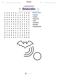 Aperçu de la feuille de travail imprimable Écholocation