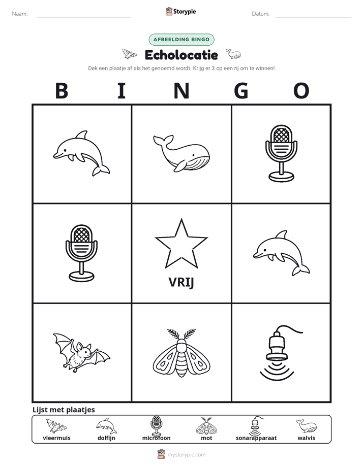 Afbeelding Bingo