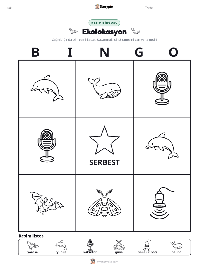 Resim Bingo