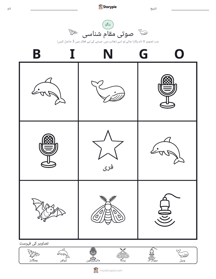 تصویری بنگو