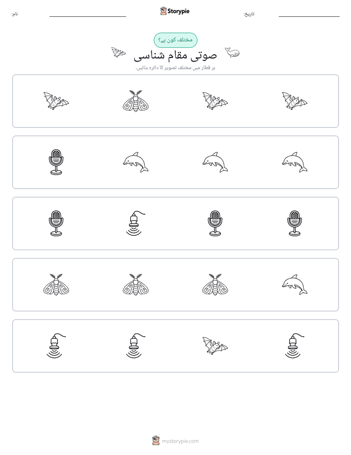 عجیب ایک