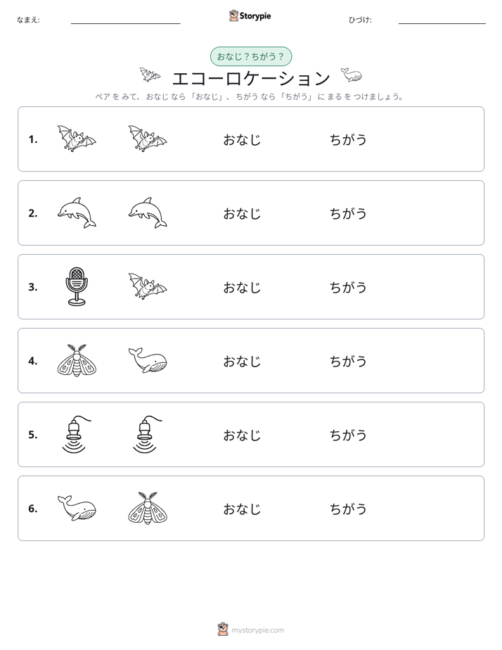 同じか違うか