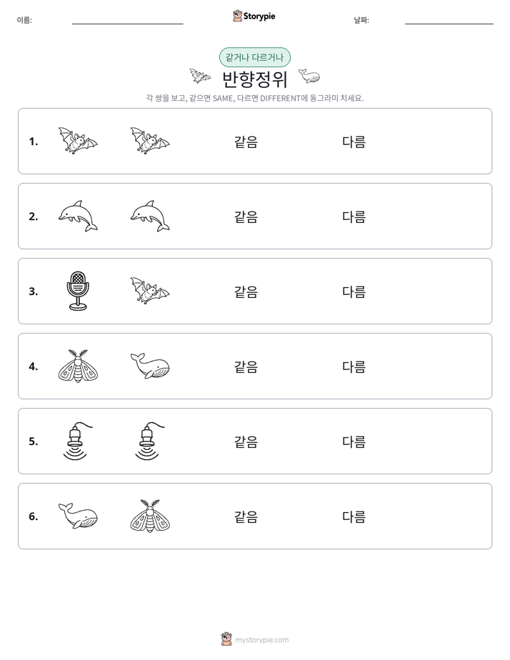 같은 것 또는 다른 것