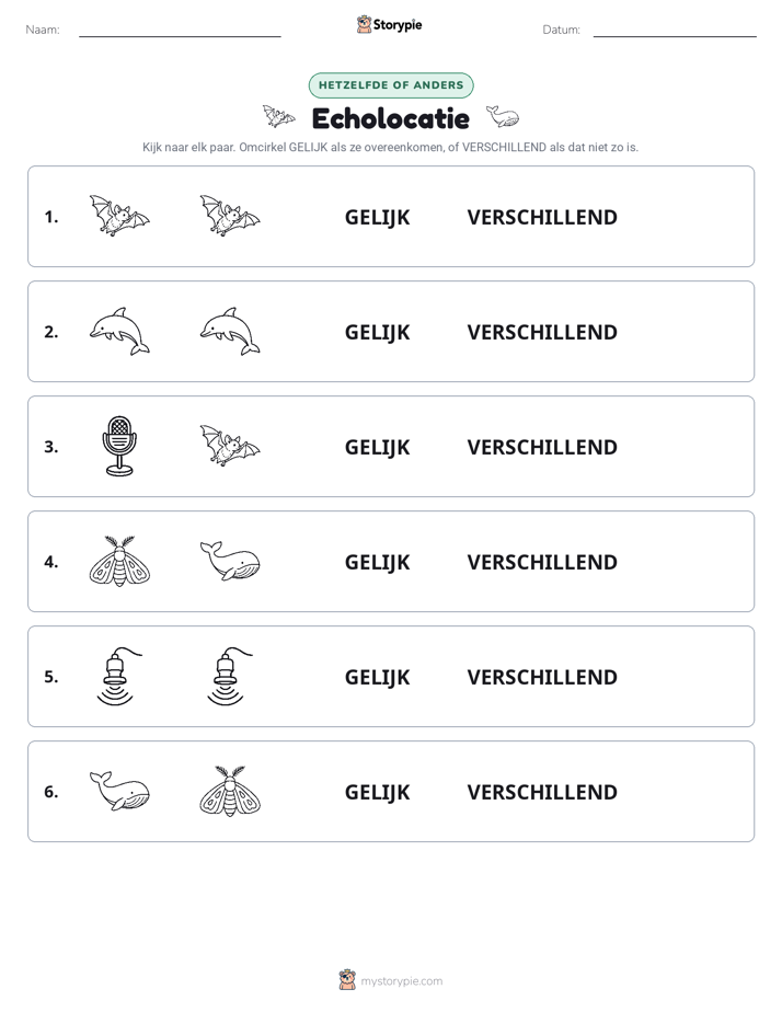 Zelfde of Verschillend