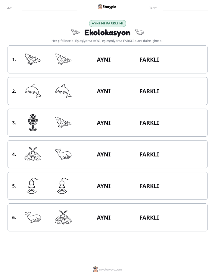 Aynı mı Farklı mı