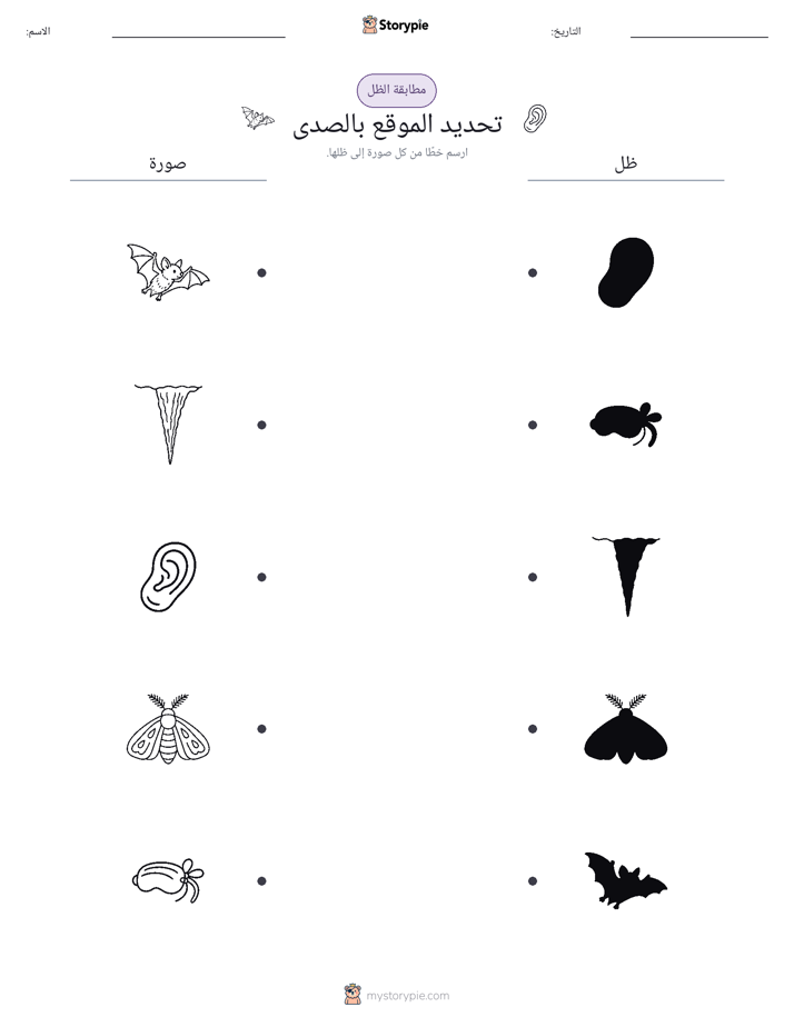 مطابقة الظل