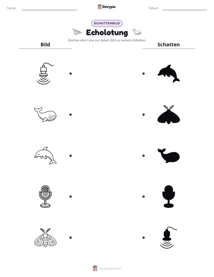 Schattenmatch