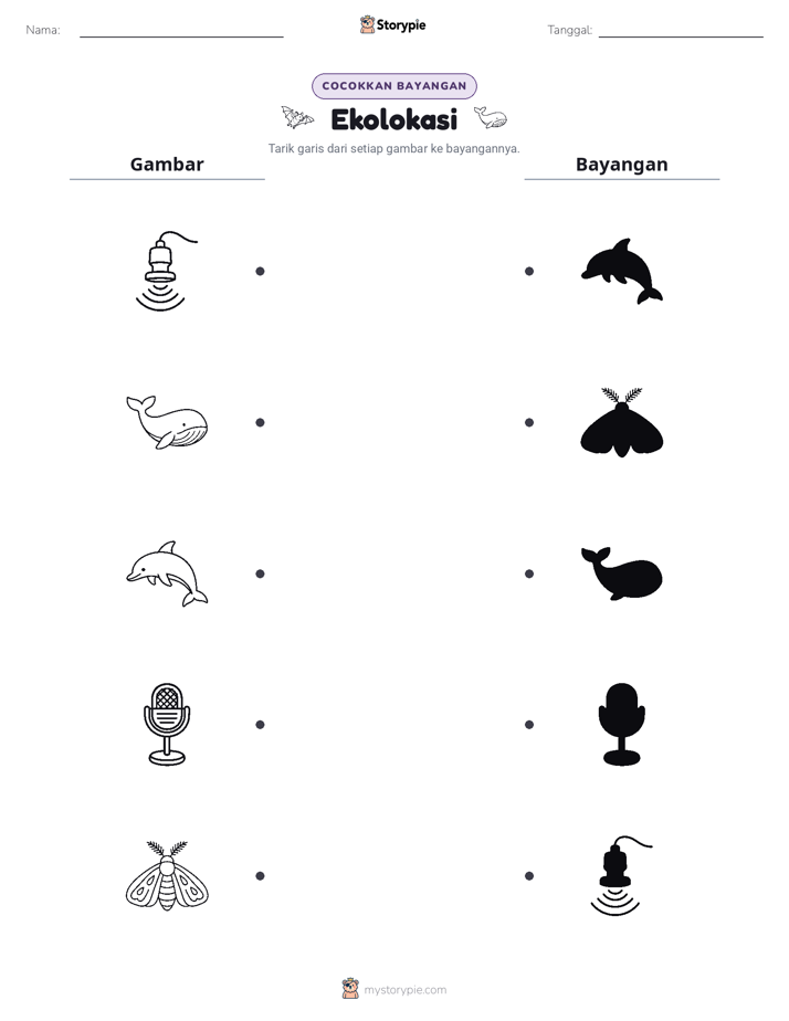 Cocokkan Bayangan