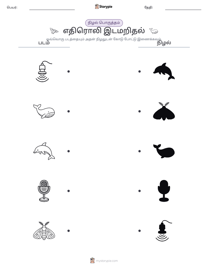 நிழல் பொருத்தம்