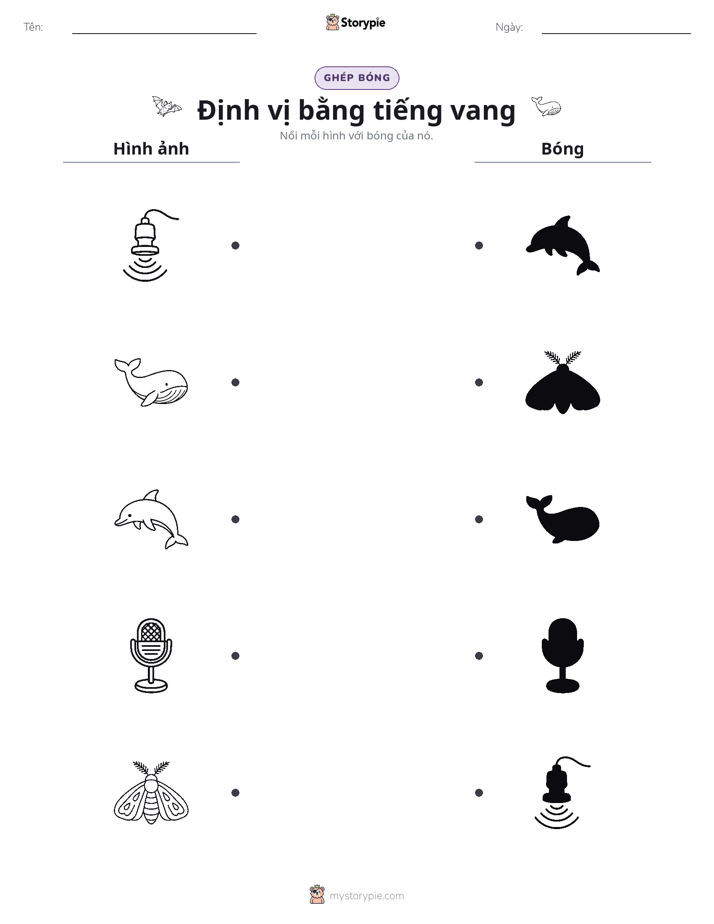 Ghép Hình Bóng