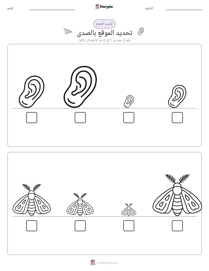 ترتيب الحجم