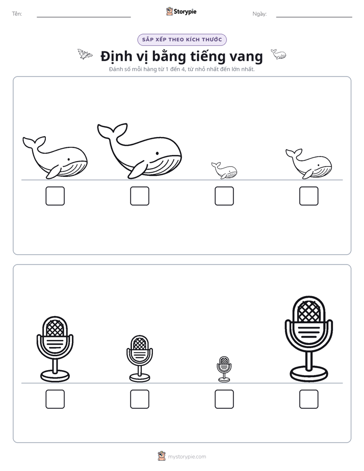 Thứ Tự Kích Thước
