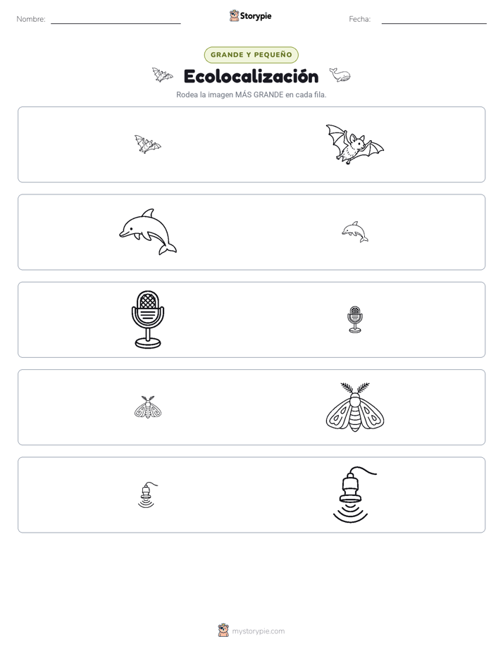Clasificación