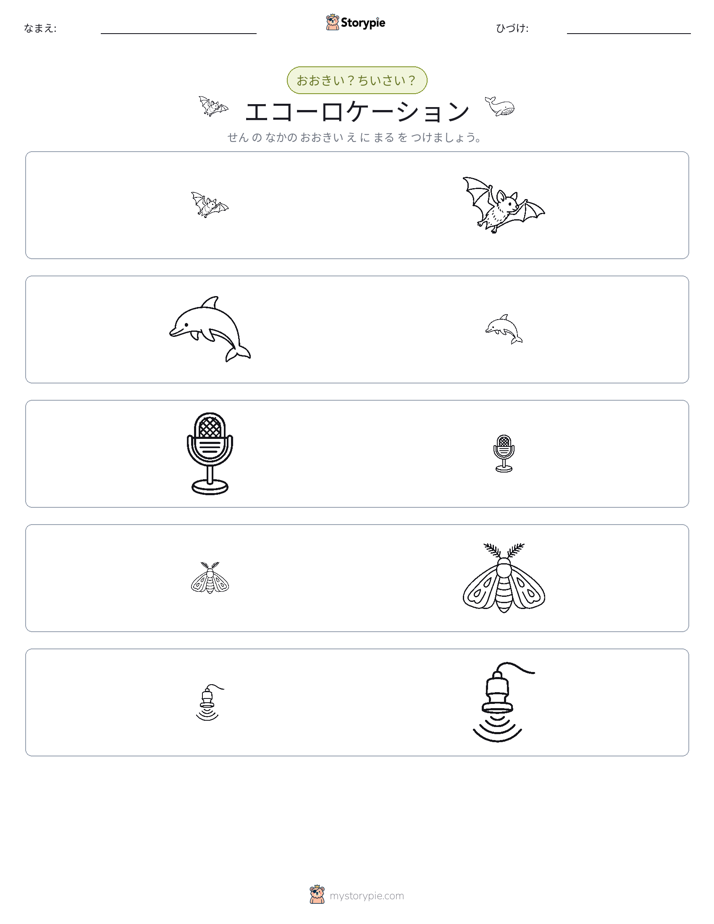ソーティング