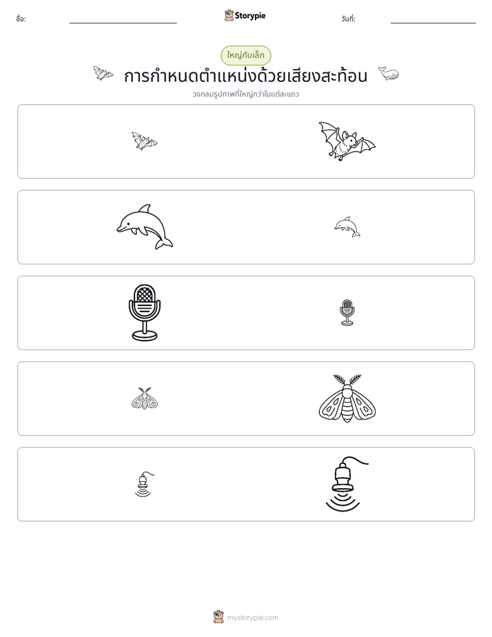 การจัดเรียง