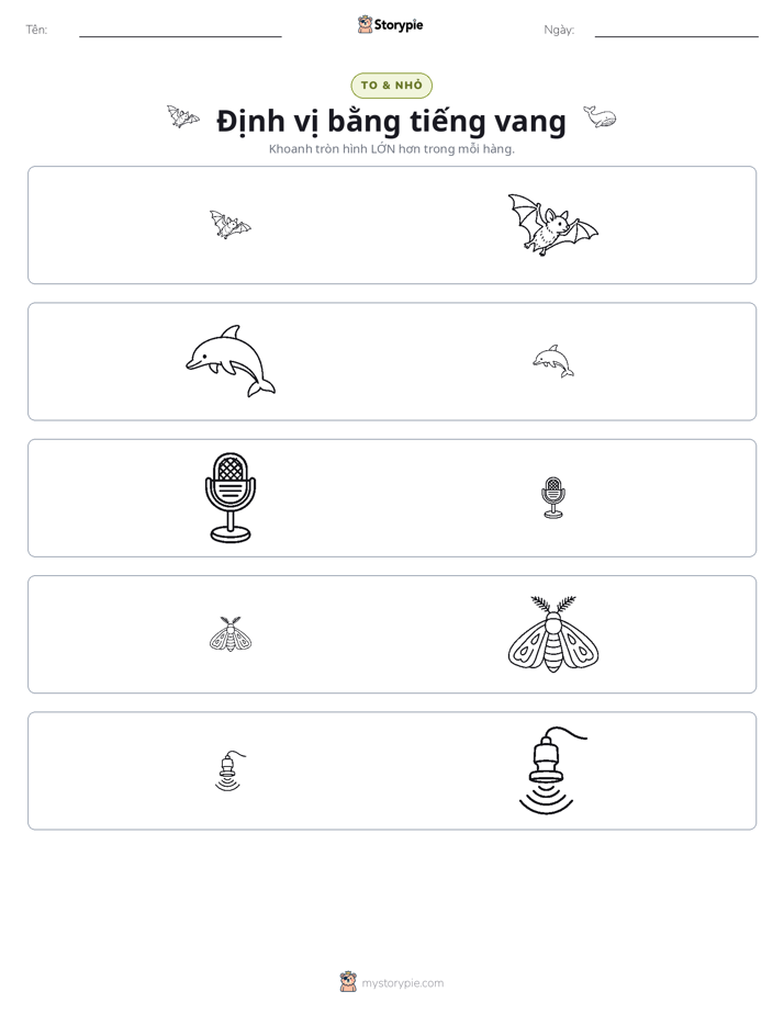 Phân Loại