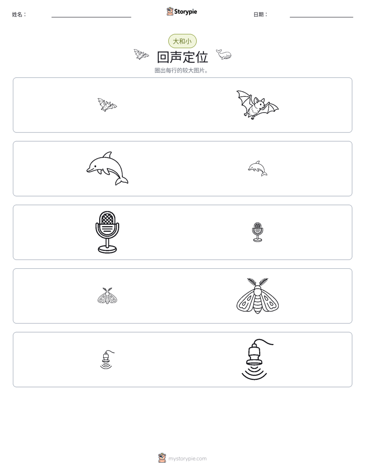 分类