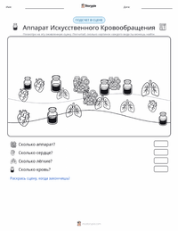 Аппарат искусственного кровообращения предварительный просмотр распечатываемого рабочего листа
