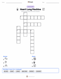 Heart Lung Machine printable worksheet preview