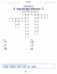 Kalp-Akciğer Makinesi yazdırılabilir çalışma sayfası önizlemesi