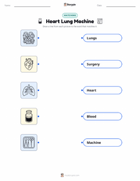 Heart Lung Machine printable worksheet for kids