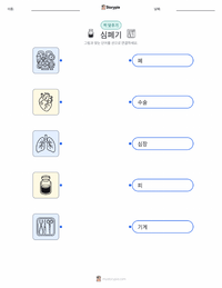 인공심폐기 어린이용 인쇄 가능한 워크시트