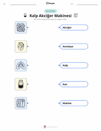 Kalp-Akciğer Makinesi çocuklar için yazdırılabilir çalışma sayfası