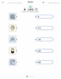 心肺机 可打印工作表，适合儿童