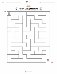 Heart Lung Machine printable worksheet preview