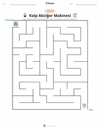 Kalp-Akciğer Makinesi yazdırılabilir çalışma sayfası önizlemesi