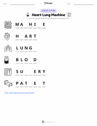 Heart Lung Machine printable worksheet preview