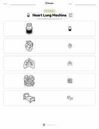 Heart Lung Machine printable worksheet preview