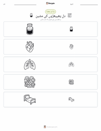 ہارٹ لنگ مشین پرنٹ کرنے کے قابل ورکشیٹ کا پیش نظارہ