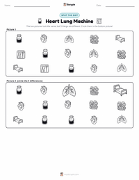Heart Lung Machine printable worksheet preview