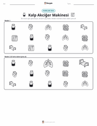 Kalp-Akciğer Makinesi yazdırılabilir çalışma sayfası önizlemesi