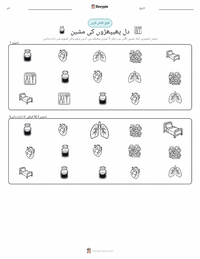 ہارٹ لنگ مشین پرنٹ کرنے کے قابل ورکشیٹ کا پیش نظارہ