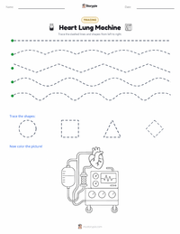 Heart Lung Machine printable worksheet preview