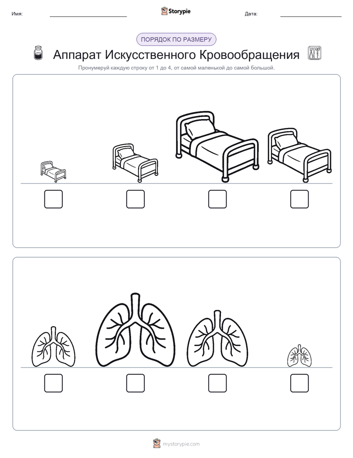 Размеры в порядке